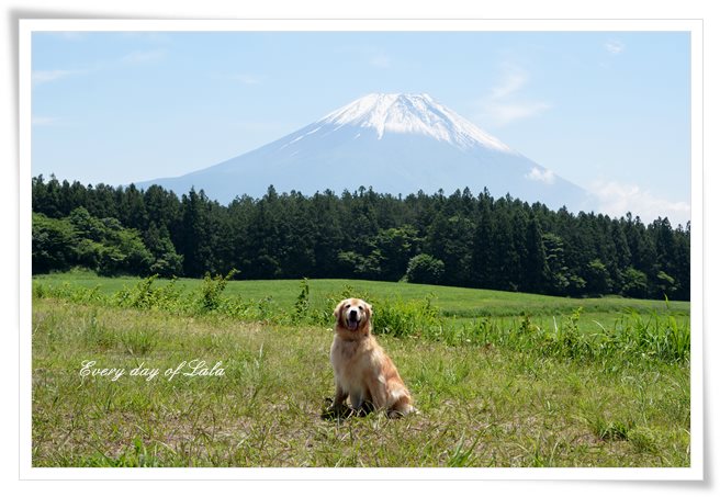 富士山を背景に記念写真ララ