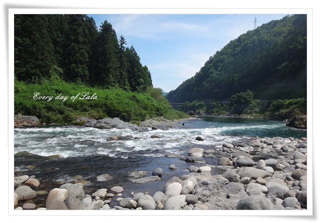 長良川です