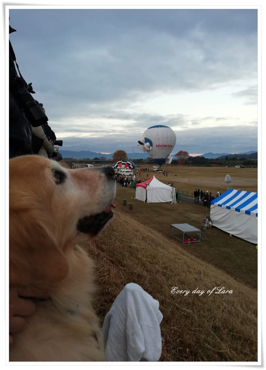 ララも熱気球を眺める