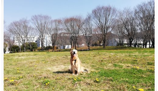 病院敷地内でハイポーズ