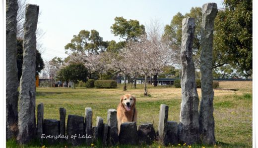 石のオブジェで記念撮影