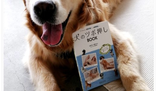 ツボ本ありがとう!