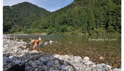 板取川へ行きました。