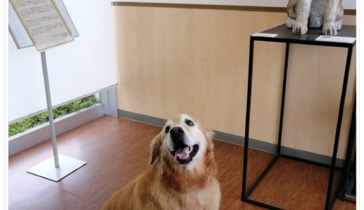 病院にてにっこりと