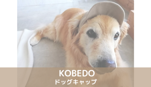 ペット用帽子アイキャッチ
