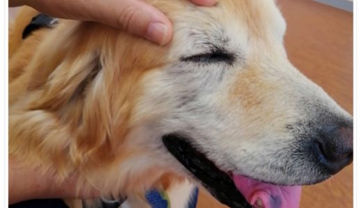 岐大で笑顔のララ