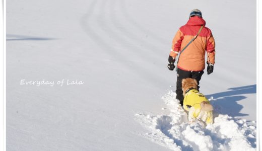雪上歩く