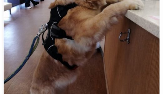 受付カウンターであいさつ